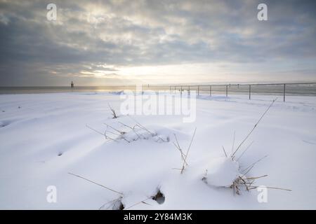 La neve copre i ciuffi di erba in un paesaggio invernale vicino al lago sotto un cielo nuvoloso, Strandbad Hoernle, Costanza, Lago di Costanza, Baden-Wuerttemberg Foto Stock