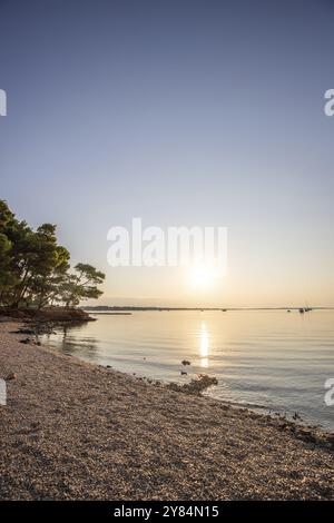 Paesaggio fotografato dal mare con la pineta sulla costa. Atmosfera mattutina all'alba in un paesaggio girato sull'isola di Vir, Zara, Dalmazia, Croa Foto Stock