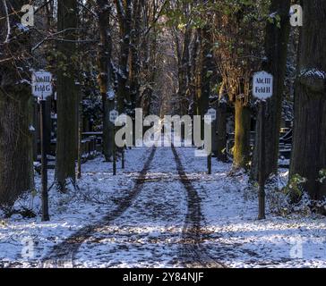 Germania, Berlino, 28.11.2023, cimitero ebraico di Weissensee, avenue, sezioni, campi, Europa Foto Stock