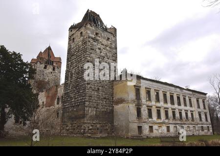 Rovine del castello di Pottendorf, Austria, Europa Foto Stock