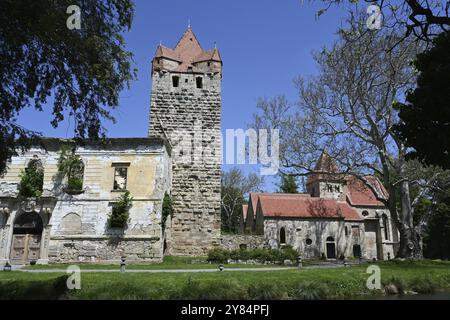 Rovine del castello di Pottendorf, Austria, Europa Foto Stock