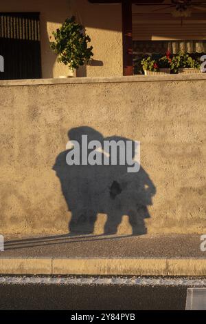 Ombre di bambini sul muro sul ciglio della strada Foto Stock