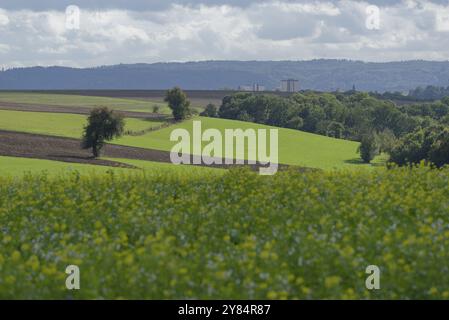 Vista del paesaggio collinare nei pressi di Breitenstein, Erlach, Schwaebisch Hall, campo di senape, campo, Hohenlohe, Schwaebisch Hall, fiume, Heilbronn-Franken, Foto Stock