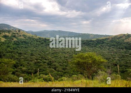 Un cratere asciutto nel Parco Nazionale della Regina Elisabetta - Uganda Foto Stock