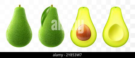 Avocado di frutta fresca isolato su fondo trasparente. Intero e tagliato a metà avocado con fossa. Avocado verde per mangiare sano. Vettore 3d realistico Illustrazione Vettoriale