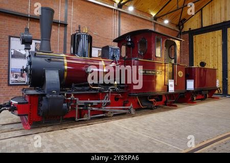 Graf Schwerin Lowitz, locomotiva a vapore a scartamento ridotto, ferrovia a vapore vale of Rheidol, museo. Galles, Regno Unito. Foto Stock