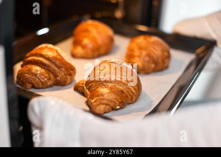 fornaio donna che prende il vassoio con croissant freschi dal forno in cucina moderna, primo piano Foto Stock