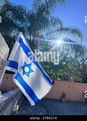La bandiera israeliana ondeggia alla luce del sole con palme e un cielo blu brillante sullo sfondo. La vivace scena simboleggia l'orgoglio nazionale e la pace in un ambiente naturale. Foto Stock