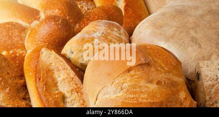 Diversi tipi di pane sono stesi sul bancone e aspettano che i clienti li acquistino in una panetteria Foto Stock