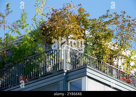 Balconi Appartamenti Residential Casa Terrazza piante verdi alberi crescono cresce cresce piantando Berlino Germania balcone Europa Foto Stock