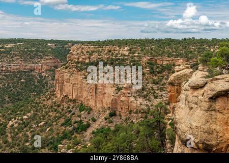Canyon, promontori e scogliere del parco nazionale di Mesa Verde, Colorado, Stati Uniti. Foto Stock