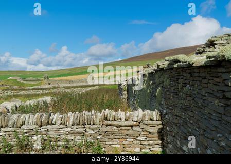 Skaill Farm, Rousay, Orcadi Foto Stock