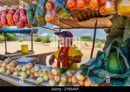 donna africana venditrice di verdura, lavoratrice autonoma che lavora al suo chiosco di strada che vende prodotti freschi Foto Stock