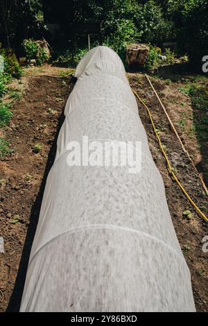 Messa a fuoco selettiva. Una piccola serra fatta di agrofibra. Serra nell'orto per la coltivazione di verdure, cetrioli, pomodori, peperoni. Plastica ad arco Foto Stock