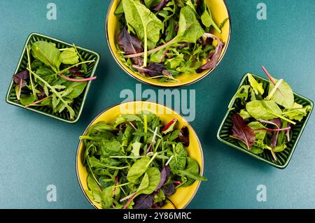 Insalata vegetariana di verdure fresche primaverili ed erbe aromatiche su un piatto. Posizione piatta. Foto Stock