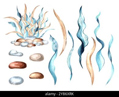 Raccolta di alghe e ciottoli. Serie di acquerelli sott'acqua illustrazione disegnata a mano isolata dallo sfondo. Tema mediterraneo e tropicale Foto Stock