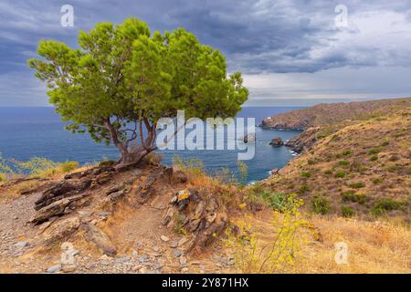 Faro di Cala Nans con alberi e costa rocciosa sullo sfondo che si affaccia sul Mar Mediterraneo sotto il cielo nuvoloso, Spagna, Catalogna Foto Stock