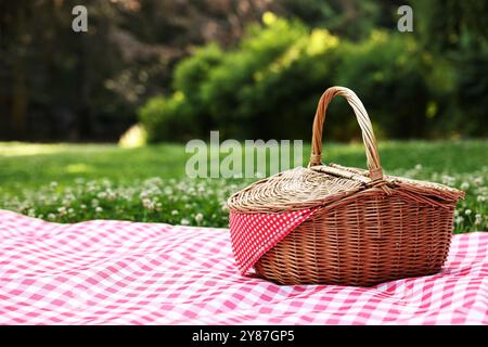 Un cestino da picnic in vimini con tovagliolo a scacchi e coperta sull'erba verde. Spazio per il testo Foto Stock