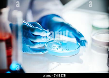 Primo piano sulle mani di uno scienziato irriconoscibile nei guanti in vinile che gocciolano il liquido dalla pipetta alla capsula Petri studiando microbiologia su un tavolo leggero in laboratorio, copiare lo spazio Foto Stock