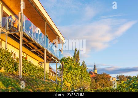 Festa del vino nel Museo del vino di Kitzeck, vigneto Kitzeck im Sausal Süd-Steiermark Steiermark, Stiria Austria Foto Stock