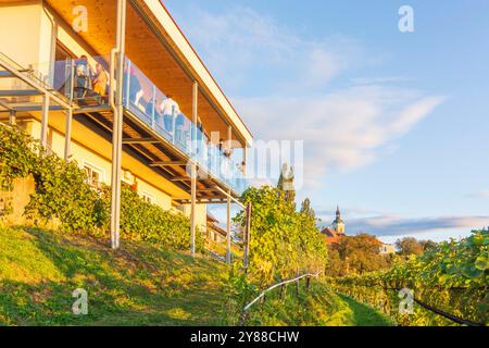 Festa del vino nel Museo del vino di Kitzeck, vigneto Kitzeck im Sausal Süd-Steiermark Steiermark, Stiria Austria Foto Stock