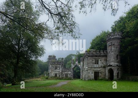 Abbandonato Ballysaggartmore Lodge, rovine storiche vicino a Lismore nella campagna irlandese Foto Stock