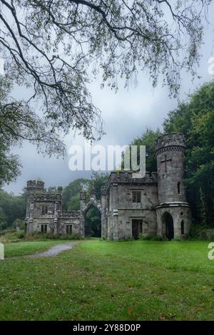 Abbandonato Ballysaggartmore Lodge, rovine storiche vicino a Lismore nella campagna irlandese Foto Stock