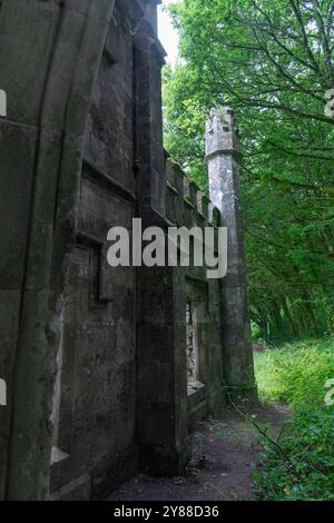 Abbandonato Ballysaggartmore Lodge, rovine storiche vicino a Lismore nella campagna irlandese Foto Stock