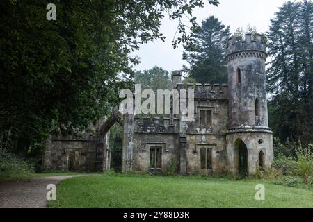 Abbandonato Ballysaggartmore Lodge, rovine storiche vicino a Lismore nella campagna irlandese Foto Stock