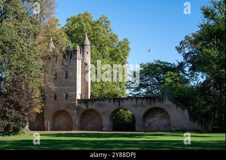 , Deutschland, Rheinland-Pfalz, Speyer, 02.10.2024, Wetter, Das historische Heidentuermchen in Speyer, umgeben von Baeumen (Baeumen) in einem weitla Foto Stock