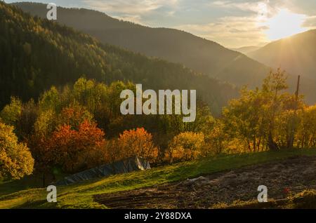 Paesaggio montano al tramonto durante l'ora d'oro, con luce del sole dorata che illumina gli alberi autunnali e le aspre vette del Trentino Foto Stock