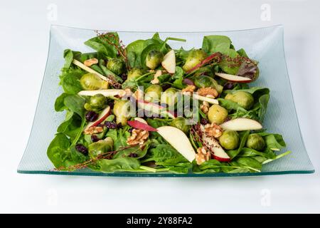 Insalata appena preparata, con foglie di spinaci, fette di mele, carciofi, noci e mirtilli rossi, delizioso e sano Foto Stock