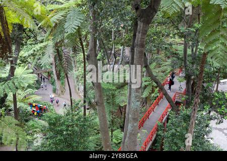 Monte Palace Tropical Garden, Funchal, Madeira, Portogallo Foto Stock