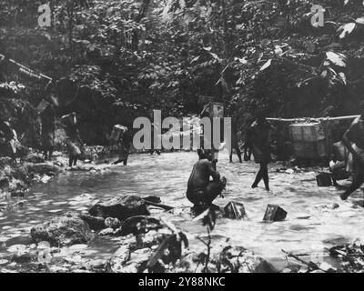 Attacco a Satelberg. A Mangrove Ridge, sul fianco destro di Satleberg, le portaerei native avanzarono con rifornimenti per le truppe di prima linea. 6 dicembre 1943. Foto Stock