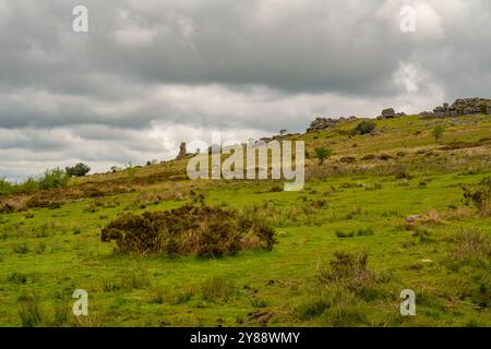 Guardando verso Bowersman Nose Dartmoor Devon da Hayne Down Foto Stock