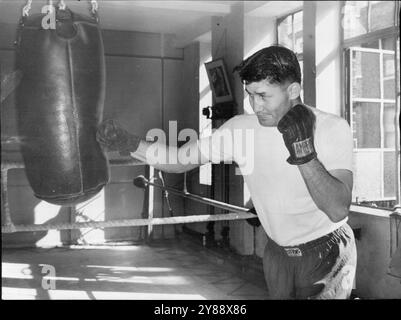 Angelo si prepara per Turpin -- George Angelo, il campione sudafricano dei pesi medi, si allena oggi al Bloom's Gymnasium per la sua lotta per la corona dell'Impero contro Randolph Turpin il mese prossimo. Angelo è arrivato a Londra venerdì scorso. 22 settembre 1952. Foto Stock