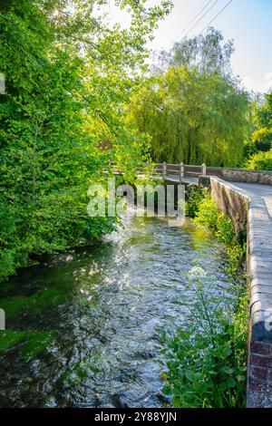 Guardando lungo il fiume Darent a Shoreham Kent, su un ponte serale estivo sul Darent a shoreham Kent Foto Stock