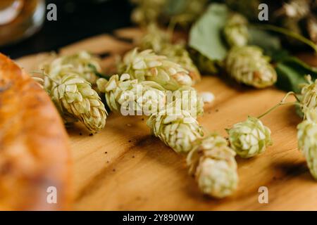 Luppolo fresco su un tavolo di legno, simbolo degli ingredienti naturali utilizzati nella produzione di birra artigianale Foto Stock