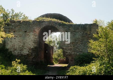 Enigmatiche rovine che brillano alla luce del sole circondate da lussureggiante vegetazione. Foto Stock