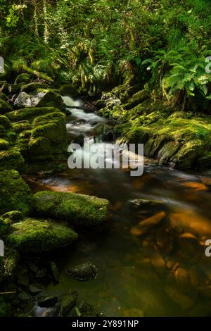 La cascata di Torc è circondata da una vegetazione lussureggiante nella contea di Kerry Foto Stock