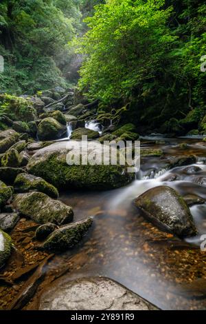 La cascata di Torc è circondata da una vegetazione lussureggiante nella contea di Kerry Foto Stock