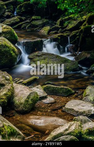 La cascata di Torc è circondata da una vegetazione lussureggiante nella contea di Kerry Foto Stock