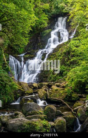 La cascata di Torc è circondata da una vegetazione lussureggiante nella contea di Kerry Foto Stock