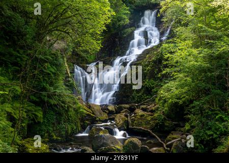 La cascata di Torc è circondata da una vegetazione lussureggiante nella contea di Kerry Foto Stock