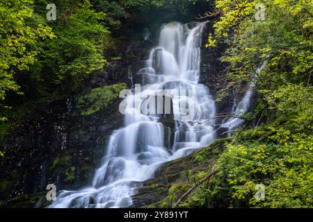 La cascata di Torc è circondata da una vegetazione lussureggiante nella contea di Kerry Foto Stock