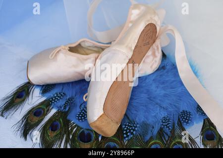 Scarpe da balletto, scarpe pointe su piume di pavone, STILL Life, scarpe da ballo rivestite con raso di colore rosa chiaro, suola in pelle, studio, Germania, Europa Foto Stock