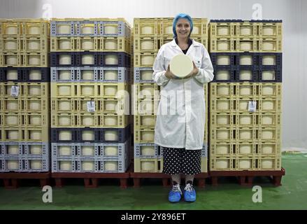 Donna castigliana che mostra un tipico formaggio Zamora in un caseificio, formaggio impilato in scatole nella parte posteriore, Fuentesauco, provincia di Zamora, Castilla y le Foto Stock