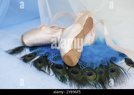 Scarpe da balletto, scarpe pointe su piume di pavone, STILL Life, scarpe da ballo rivestite con raso di colore rosa chiaro, suola in pelle, studio, Germania, Europa Foto Stock