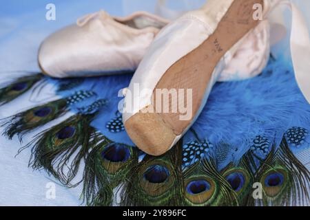 Scarpe da balletto, scarpe pointe su piume di pavone, STILL Life, scarpe da ballo rivestite con raso di colore rosa chiaro, suola in pelle, studio, Germania, Europa Foto Stock