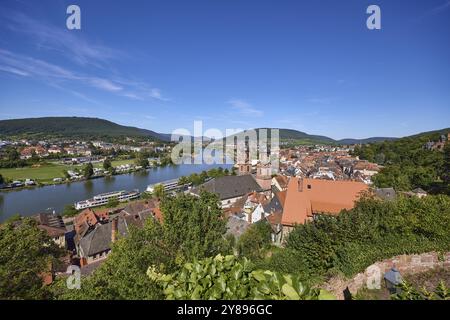 Vista a volo d'uccello del fiume meno con barche da escursione, ponti e chiesa parrocchiale di San Giacomo da Piazza del Castello di Miltenberg, bassa Franconia, Miltenberg Foto Stock